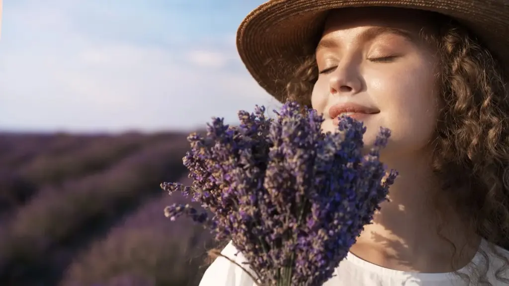Lavendel og Rose: Sådan får du dem til at overleve den våde vinter