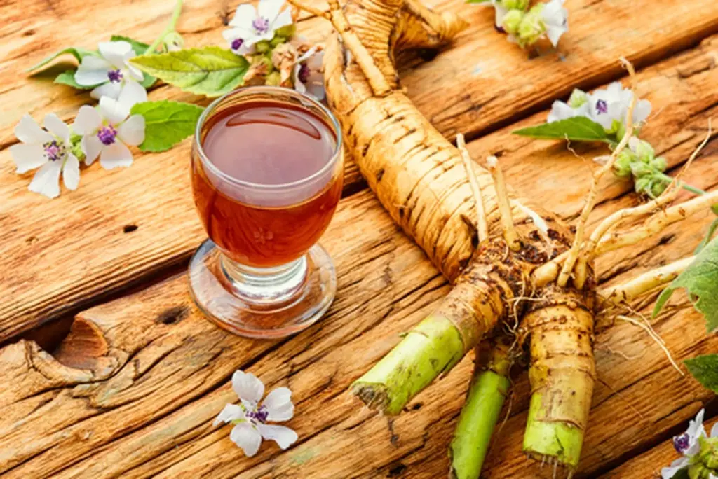 Lægestokrose (Althaea officinalis) lindrer slimhinder med naturlig mucilagin