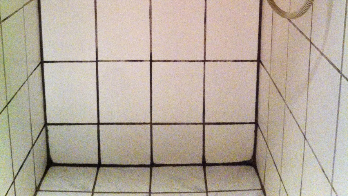 Skimmelsvamp i fugerne: Birutės simple trick fjerner det på 20 minutter - image 1