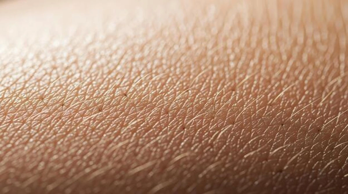 Slap hud: Derfor virker din creme ikke – boost din Kollagen indefra - image 1