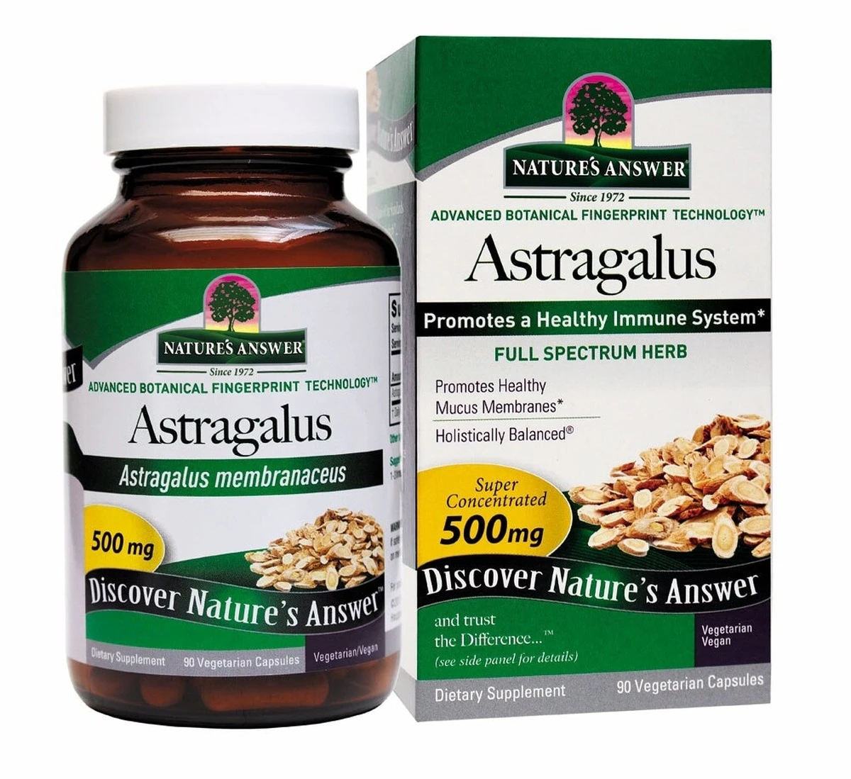 Styrk dit imunsystem: Hvorfor Astragalus virker bedre end dyre apotekspiller - image 1