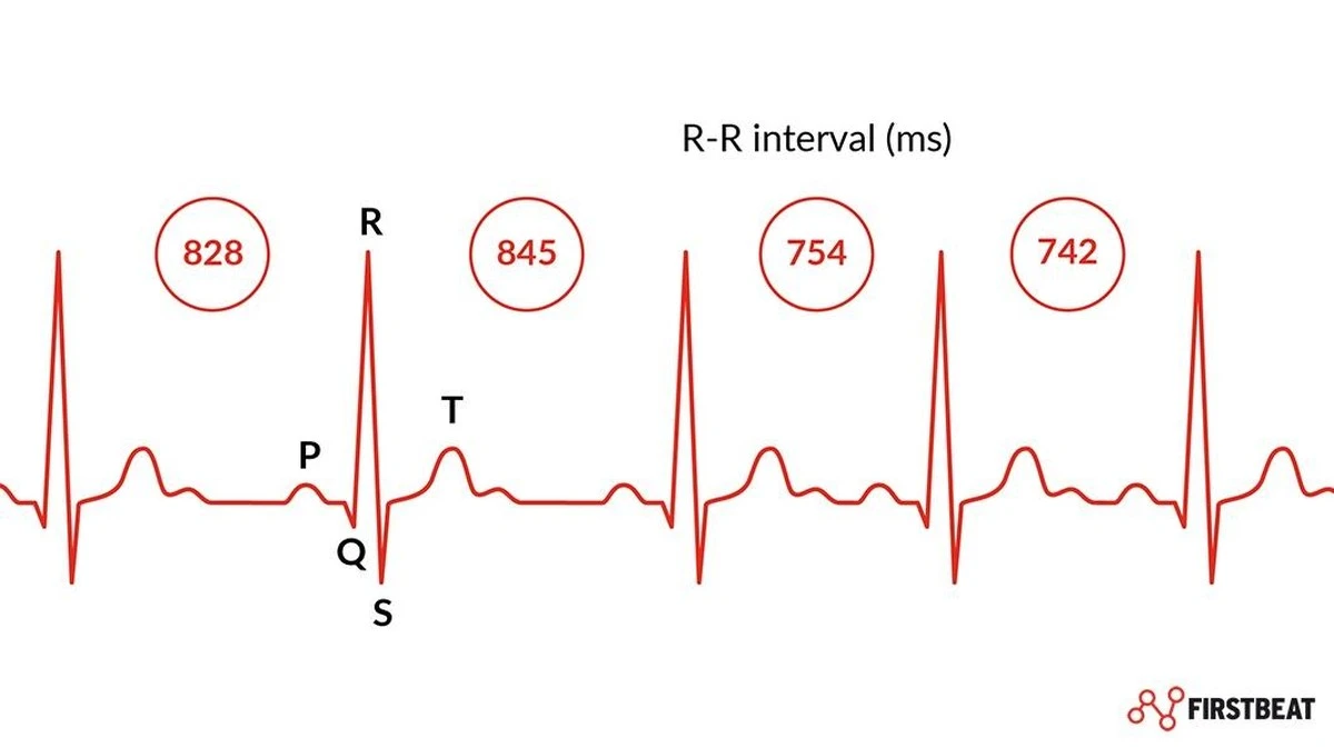 Træt trods god søvn: Brug HRV og dit autonome nervesystem til at aflæse stress - image 1